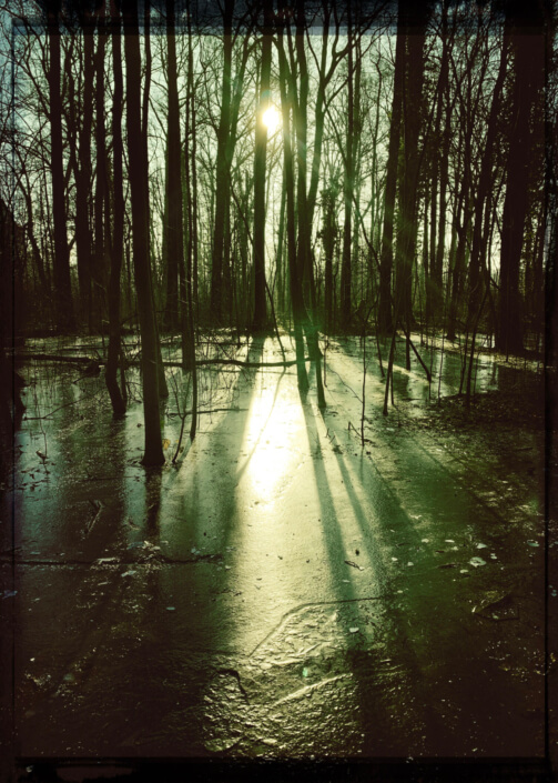 Eckhard Ischebeck - Im Eiswald