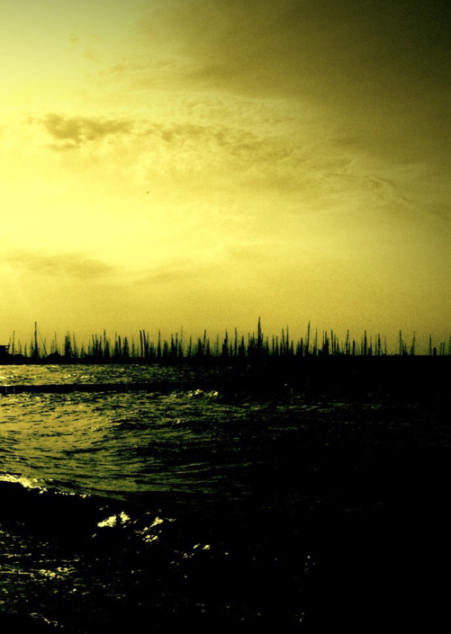 Eckhard Ischebeck - Segelwald