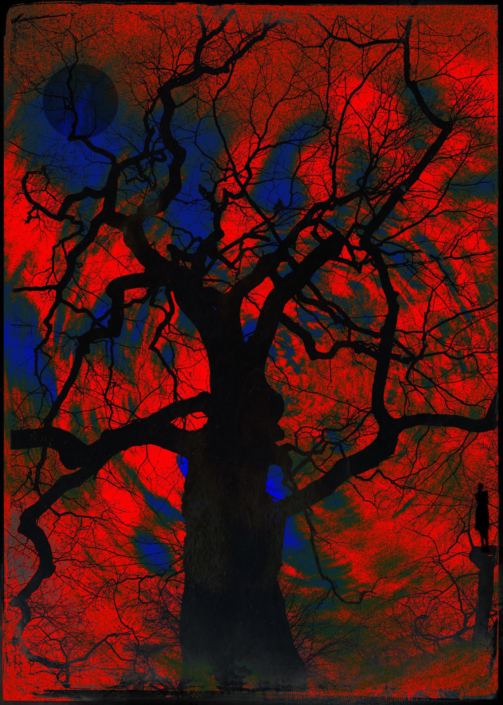 Eckhard Ischebeck - Witching Tree